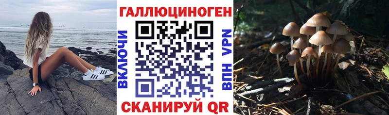 Галлюциногенные грибы прущие грибы Тихорецк